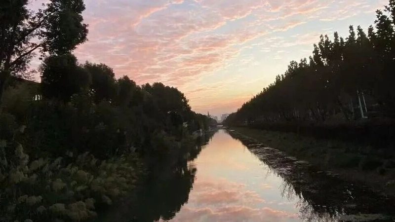 发明专利请求书填写：一个细节偏差导致驳回的真实教训